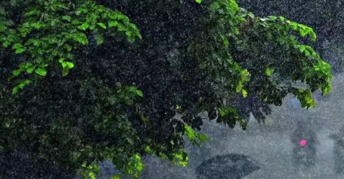 rains