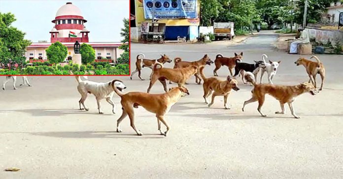 supri