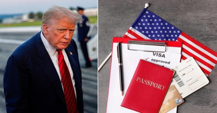 trump visa