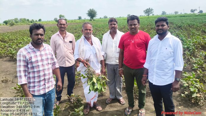 3200 acres of crops damaged in Dongli mandal