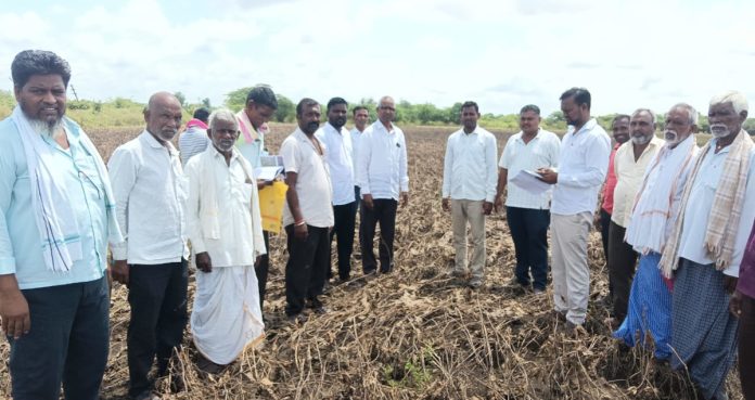 Crop damage surveys should be conducted systematically.