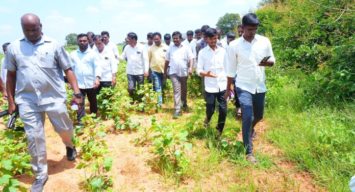 Eastern Poda Cattle Breeding Center