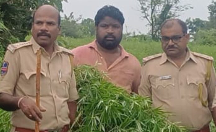 Excise CI threatens journalist