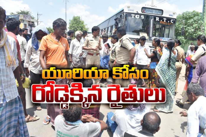Farmers take to the streets for urea..