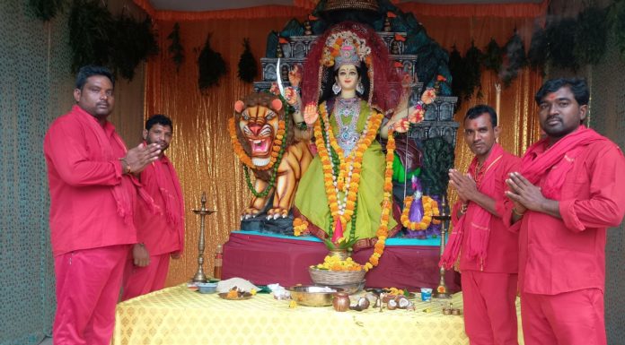 Goddess Durga idols installed in villages