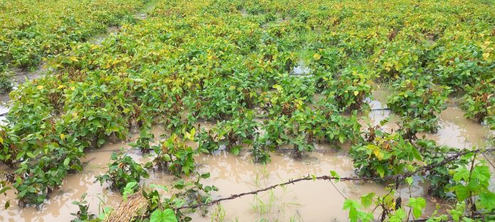 Heavy rain in Uplur