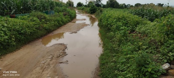 How to travel on a road like this? A road filled with water