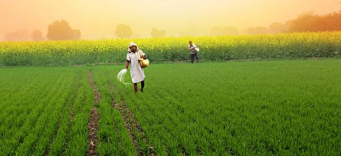 Increased urea consumption.!