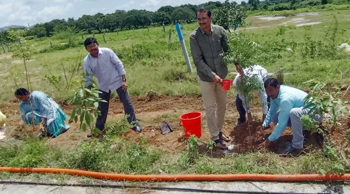 It is our responsibility to protect plants: RDO Rammurthy