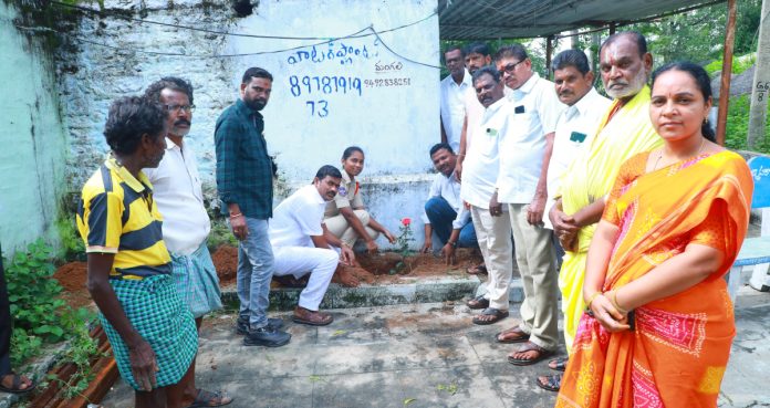 Plants should be planted widely.