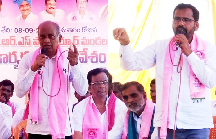 Pocharam Srinivas Reddy.. Cat on the wall