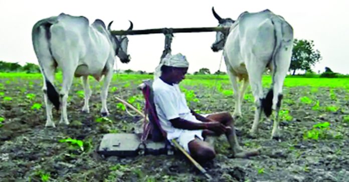 Will an unplanned agricultural sector yield results?