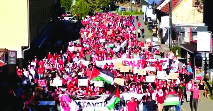 Solidarity protest for Palestinians in Bosnia