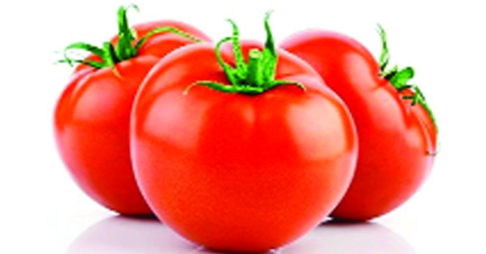 Tomatoes are fresh..
