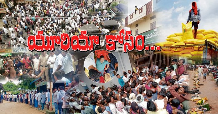 Farmers' hardships for urea