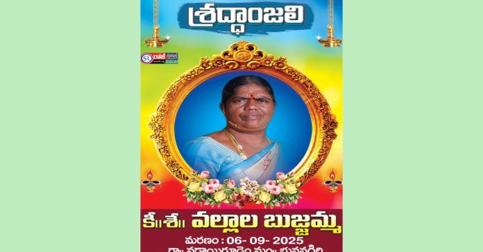 Woman dies of dengue..