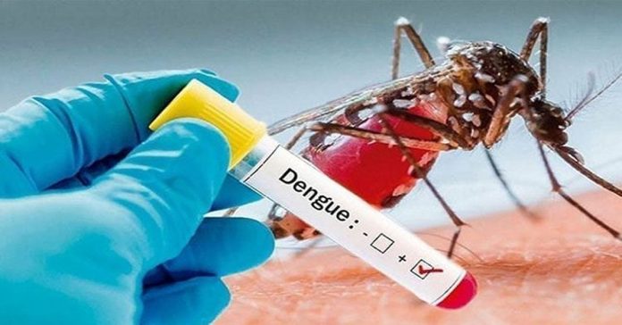 dengue