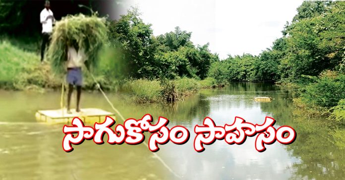 రైతు