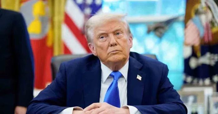 trump limer