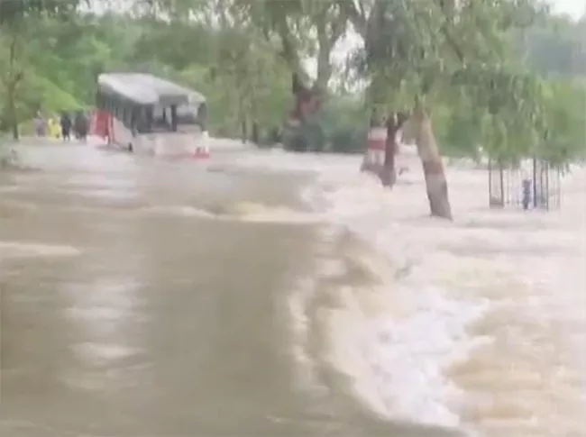 125199221_301025-bus-brk