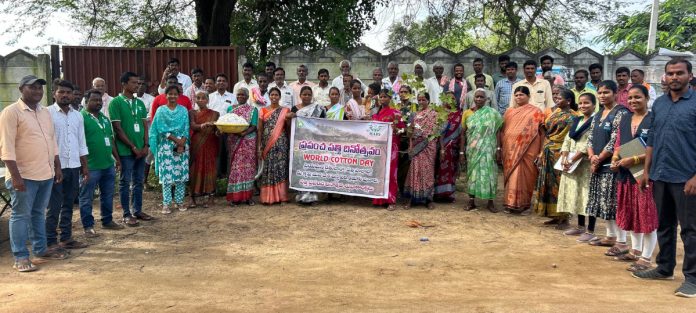 Cotton crop provides livelihood to farmers