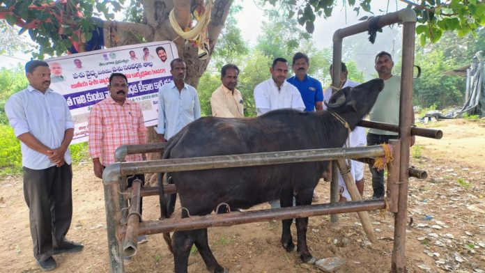 Diphtheria vaccination program in Kothapalli
