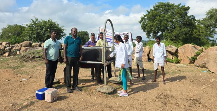 Diphtheria vaccinations in Kaligotu