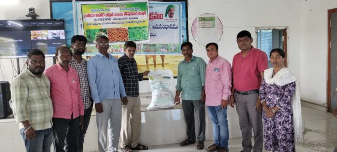 Distribution of peanut seeds on subsidy