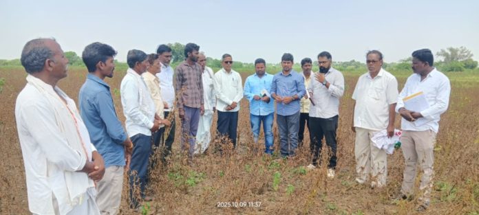 District Agriculture Officer at the farmer farming training program District Agriculture Officer at the farmer farming training program