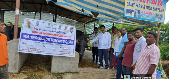 FMD vaccine should be kept refrigerated. FMD vaccine should be kept refrigerated.
