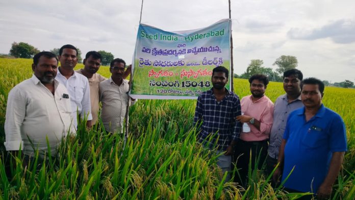 Farmers awareness about the Sampangi rice variety. Farmers awareness about the Sampangi rice variety.