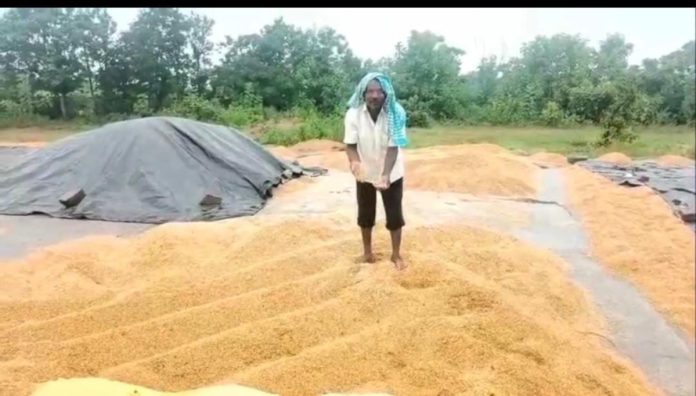 Farmers hardships due to the impact of the cyclone Farmers hardships due to the impact of the cyclone