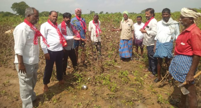 Farmers who have suffered crop losses should be supported: CPI(M)
