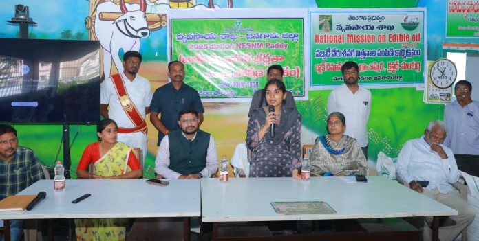 Focus should be on cultivating alternative crops