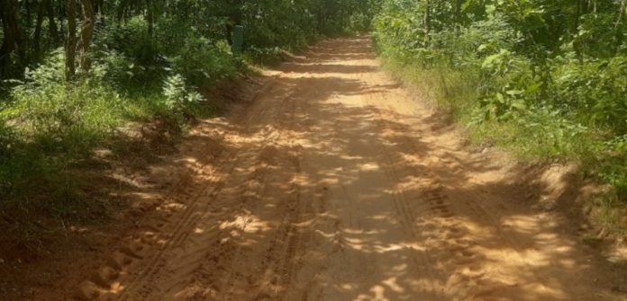 Forest Department clears line for construction of Kishanraopalli road!