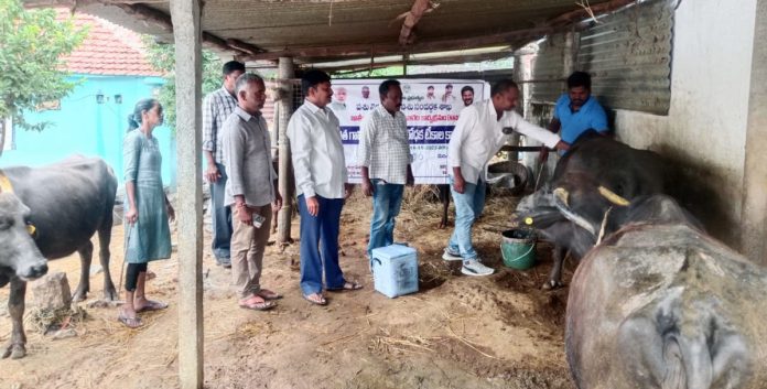 Free Diphtheria Vaccination Program Free Diphtheria Vaccination Program