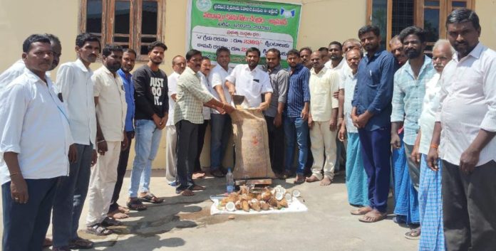 Grain purchasing center inaugurated