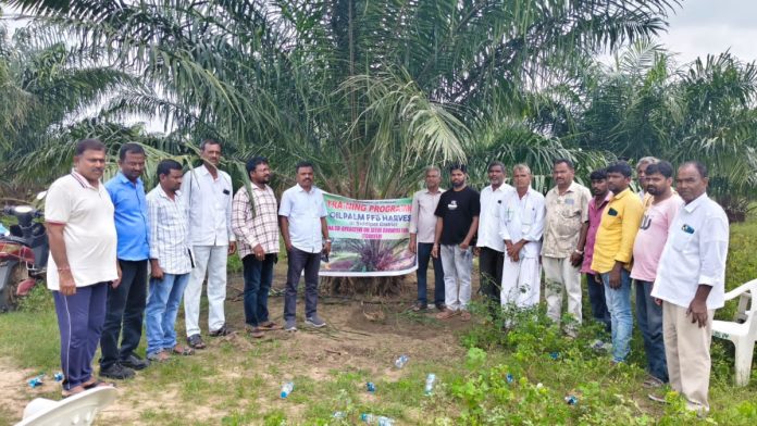 High profits for farmers with oil palm cultivation