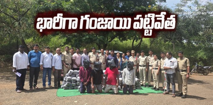 Huge marijuana seizure at Kankol Toll Plaza