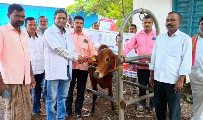 Livestock must be vaccinated against smallpox. Livestock must be vaccinated against smallpox.