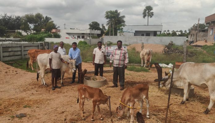 Livestock should be vaccinated against flu.