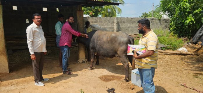 Livestock should be vaccinated against rabies