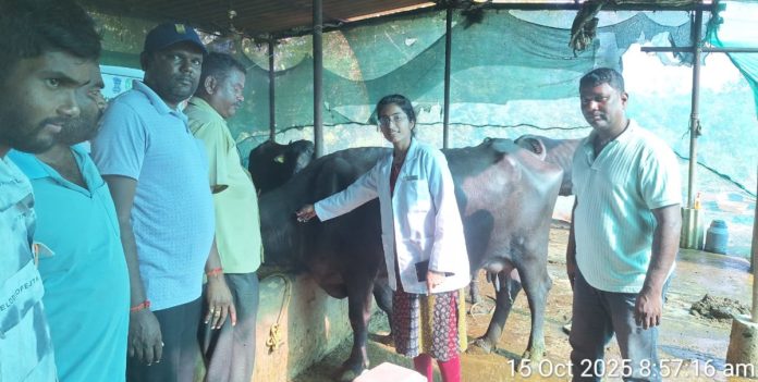 Livestock should be vaccinated against rabies.
