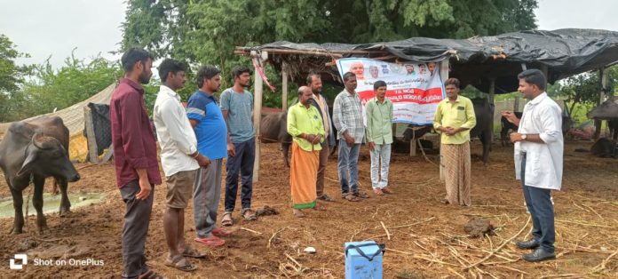 Livestock should be vaccinated against rabies