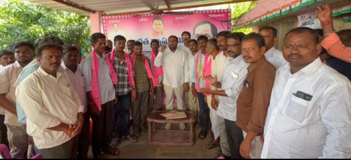 Local body elections should be swept cleanly