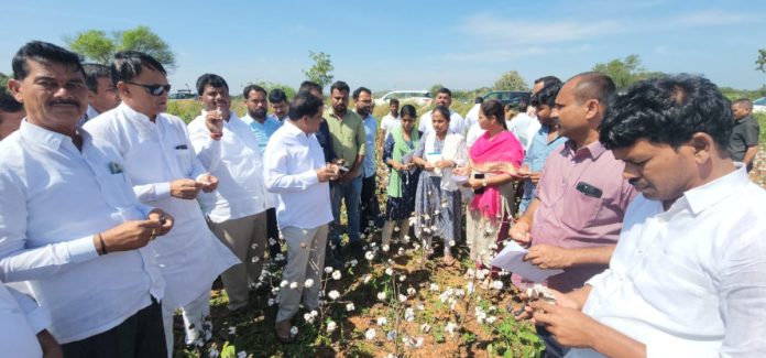 MLA inspects damaged crops