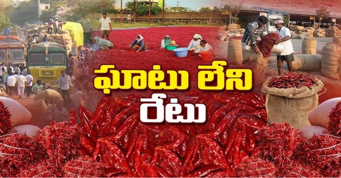 Chilli price reduced