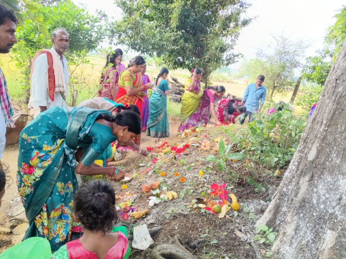 Naga Chavithi celebrations in grand style Naga Chavithi celebrations in grand style