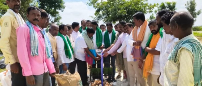 Paddy grain procurement begins in Bollaram Paddy grain procurement begins in Bollaram