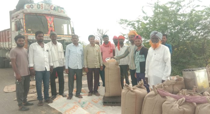 Paddy procurement continues in Dongli